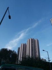 觀察