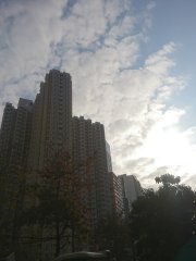 觀察