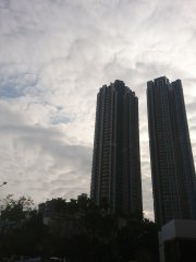觀察