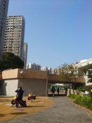 觀察
