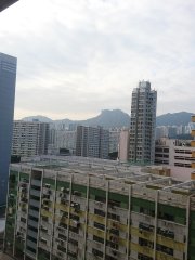觀察
