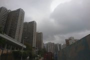 相片