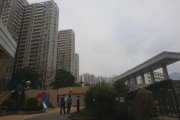 觀察