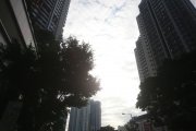 觀察