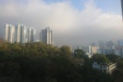 觀察