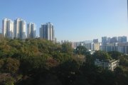 觀察