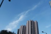 觀察