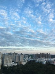 爽朗