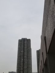2月26日的天氣