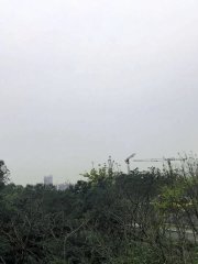 前路濛濛