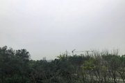 前路濛濛