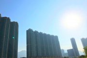 陽光普照