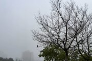多雾