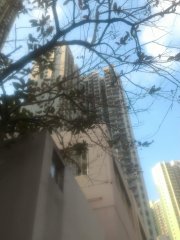 2018.3.5 觀察圖片