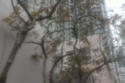2018.3.7 觀察圖片