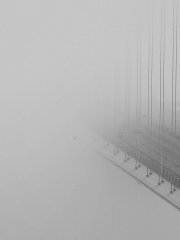 被海霧戀上了的青馬大橋