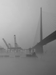 Shallow fog in harbour