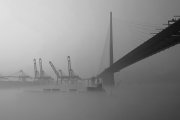 Shallow fog in harbour