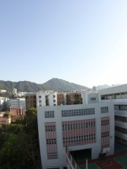柳暗花明又一村