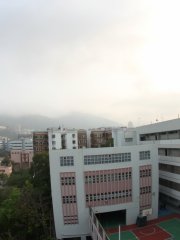 柳暗花明又一村