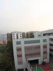 柳暗花明又一村