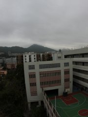 柳暗花明又一村