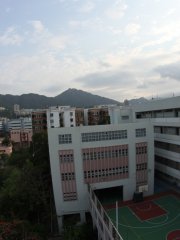 柳暗花明又一村