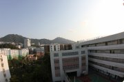柳暗花明又一村