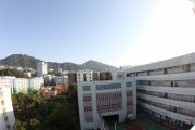 柳暗花明又一村
