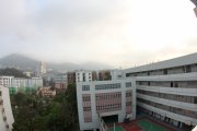 柳暗花明又一村