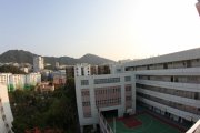 柳暗花明又一村