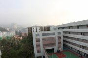 柳暗花明又一村