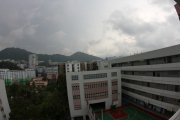 柳暗花明又一村