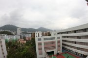 柳暗花明又一村