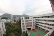 柳暗花明又一村