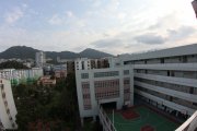 柳暗花明又一村
