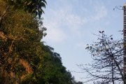 33_HKCWCC_report_20180322