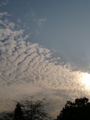 雲端
