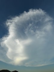 Cirrocumulus clouds forming a flower bloom.