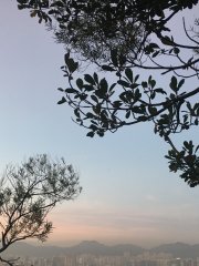 晩霞