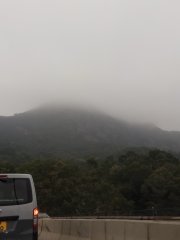 消失的獅子山