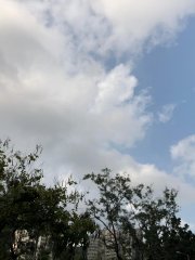 將軍澳官立中學天氣觀測記錄（第七隊）