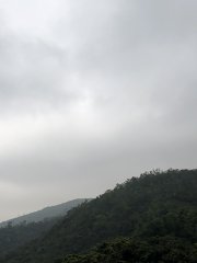 將軍澳官立中學天氣觀測試(第七隊)