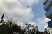 將軍澳官立中學天氣觀測記錄（第七隊）