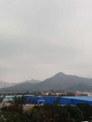 天水圍