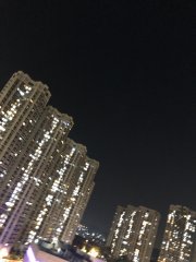 夜象