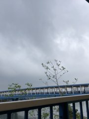 天氣