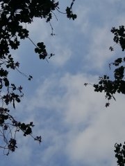 天晴