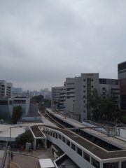 九龍真光中學
