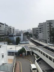 九龍真光中學的能見度與濕度